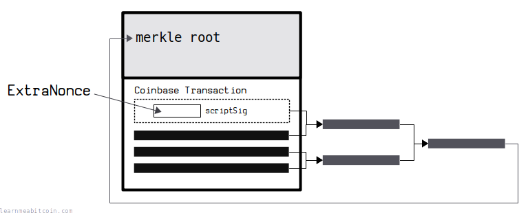 The ExtraNonce is located inside the scriptSig of a coinbase transaction.