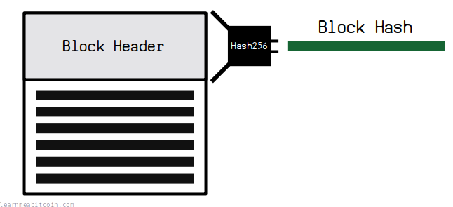 Diagram showing a block hash being created by hashing the block header data in a block.