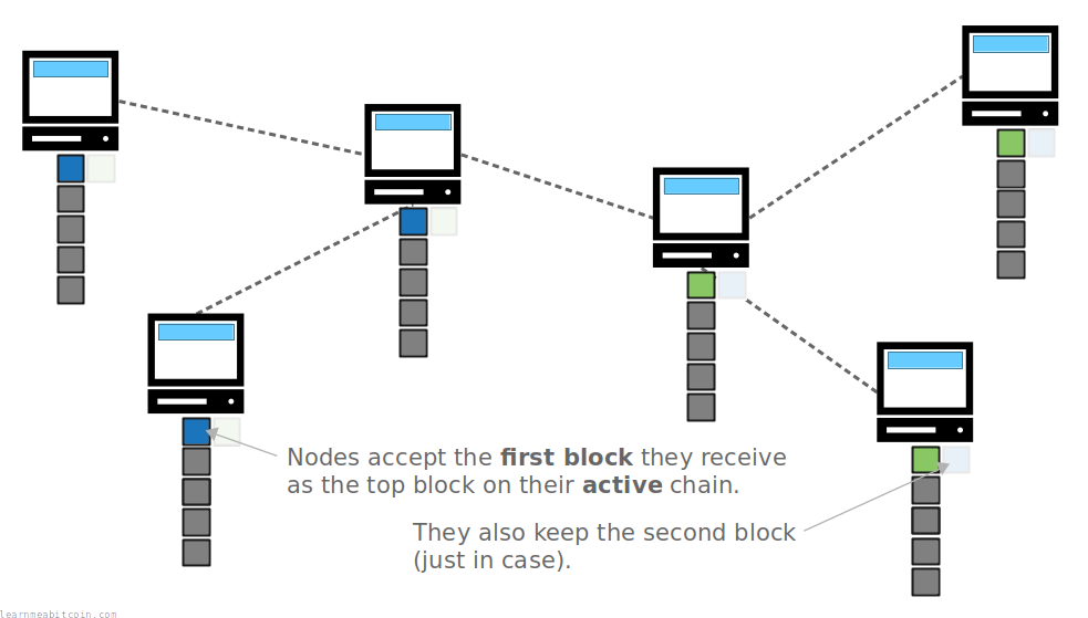 Diagram showing a temporary fork in the blockchain due to two blocks being mined at the same time.