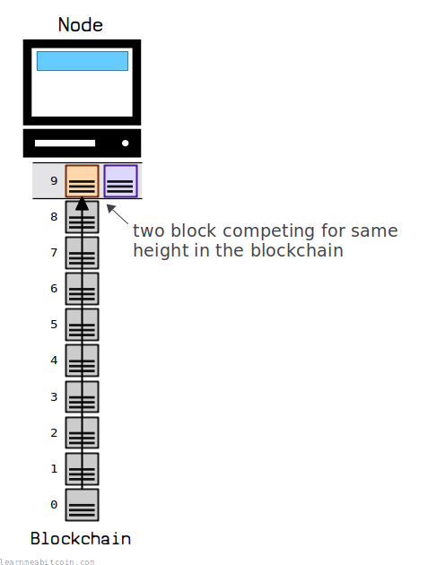 Diagram showing two blocks competing for the same height at the top of the blockchain.