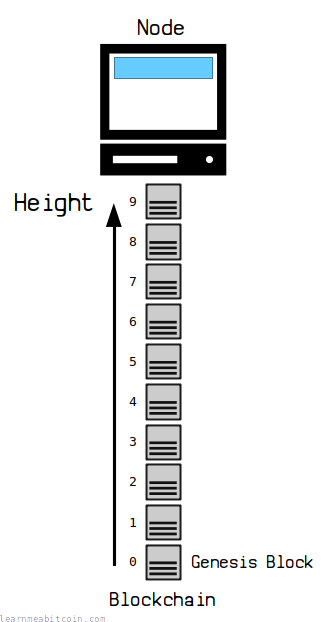 Diagram showing the height of a block in the blockchain as its distance from the genesis block.