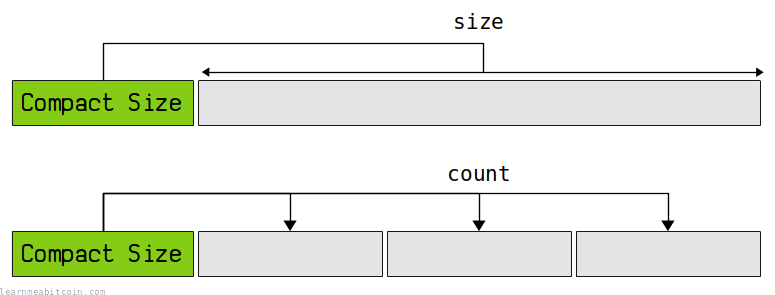 Diagram showing how the compact size field indicates the upcoming size or item count.