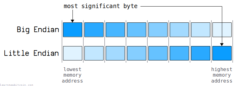 Diagram showing bytes of data represented in binary, decimal, and hexadecimal.
