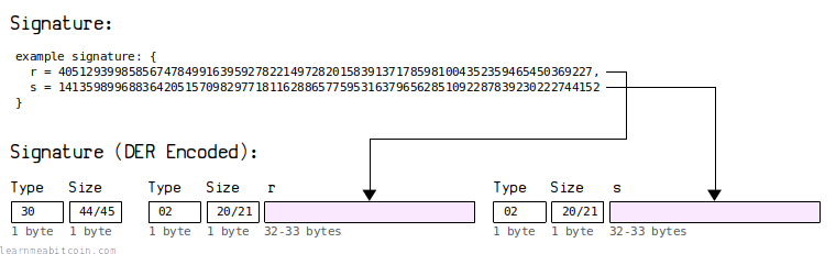 Diagram showing the encoding of an ECDSA signature for use in Bitcoin transactions.