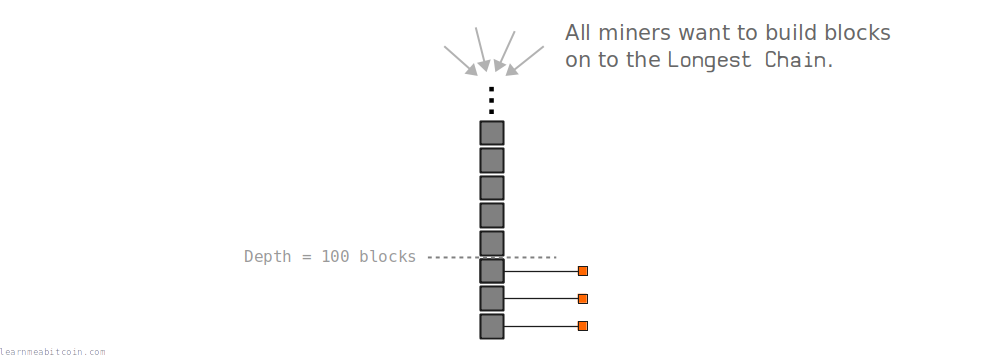 Diagram showing how all miners focus on building upon the current longest chain so they can spend the block reward later on.