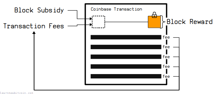 Diagram showing the block reward being collected by a coinbase transaction and as the sum of the block subsidy and transaction fees in the block.