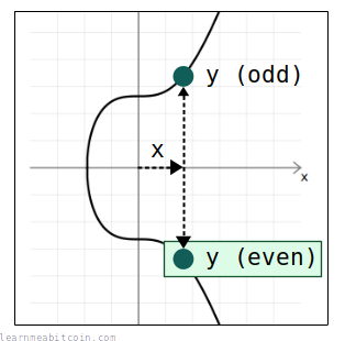 Diagram showing a public key point having two possible y coordinates (one even, one odd) for each x coordinate.