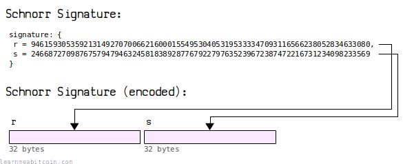 Diagram showing the encoding of a Schnorr signature for use in Bitcoin transactions.