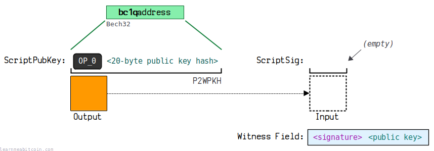A diagram showing the structure of a P2WPKH.