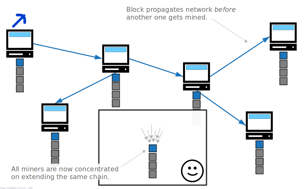 Diagram showing miners focused on extending the same blockchain due to the latest block having time to propagate the network.