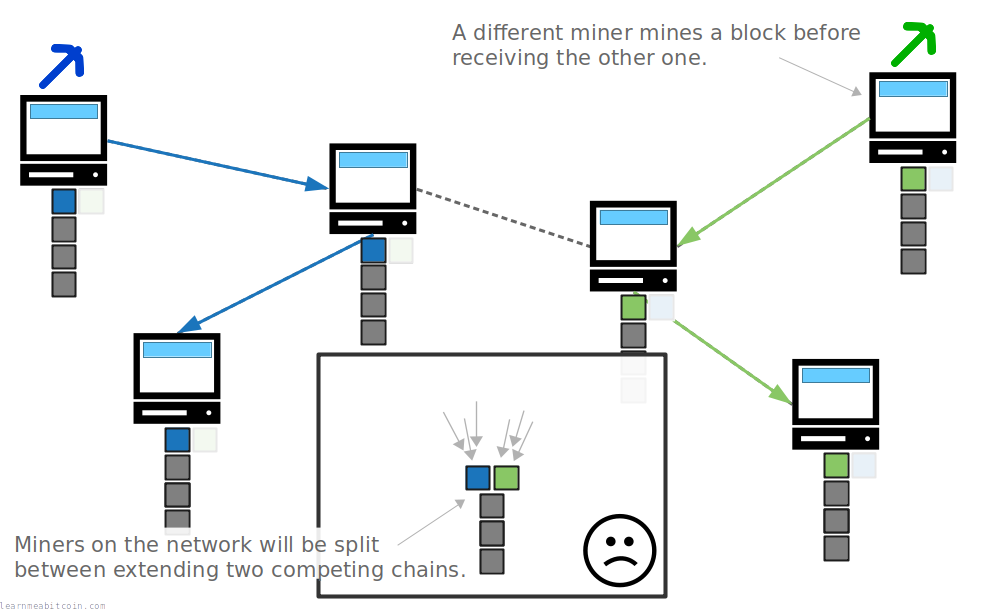 Diagram showing miners working on building two different blockchains due to not receiving the latest blocks quickly enough.