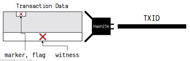 Diagram showing how a TXID is created by HASH256'ing specific parts of raw transaction data.