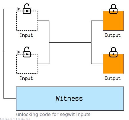 Diagram showing the new witness section of a transaction used for unlocking inputs.