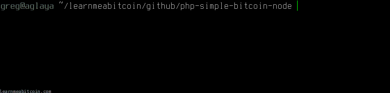 Diagram showing a message being sent to another node with the magic bytes at the start of the message.